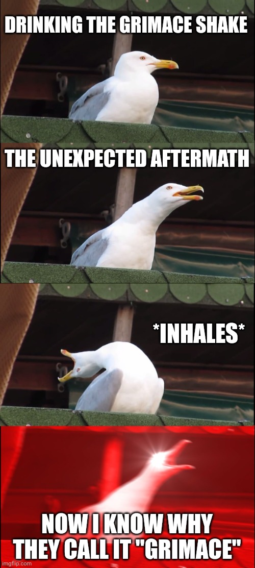 Grimace seagull | DRINKING THE GRIMACE SHAKE; THE UNEXPECTED AFTERMATH; *INHALES*; NOW I KNOW WHY THEY CALL IT "GRIMACE" | image tagged in memes,inhaling seagull | made w/ Imgflip meme maker