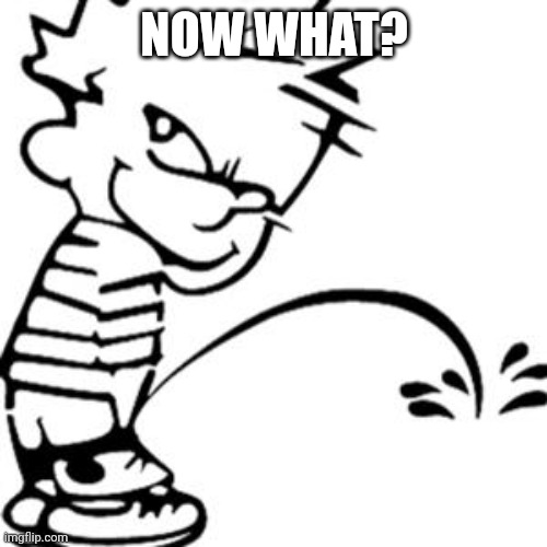 piss on you | NOW WHAT? | image tagged in piss on you | made w/ Imgflip meme maker