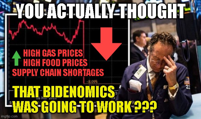 The Trump Economy Stock Market | YOU ACTUALLY THOUGHT; HIGH GAS PRICES
       HIGH FOOD PRICES
SUPPLY CHAIN SHORTAGES; THAT BIDENOMICS
WAS GOING TO WORK ??? | image tagged in the trump economy stock market | made w/ Imgflip meme maker