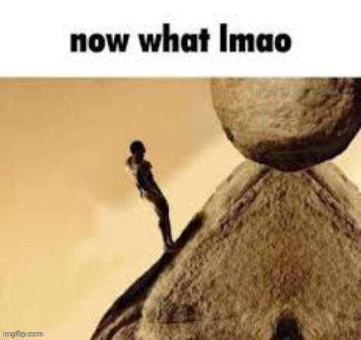 Now what lmao | image tagged in now what lmao | made w/ Imgflip meme maker