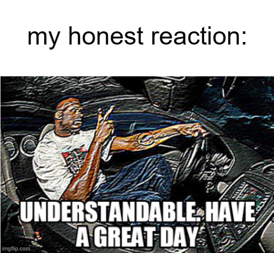 UNDERSTANDABLE, HAVE A GREAT DAY | my honest reaction: | image tagged in understandable have a great day | made w/ Imgflip meme maker