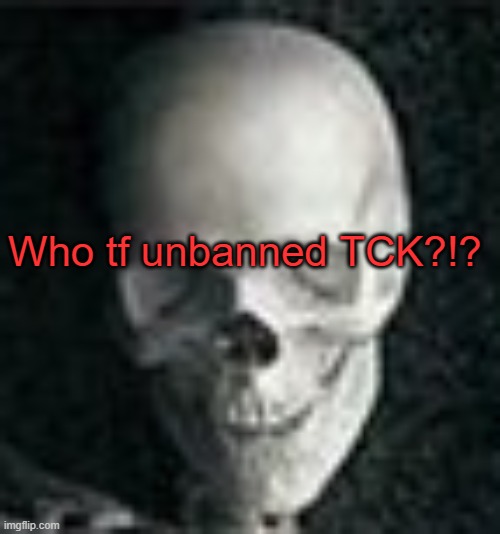 . | Who tf unbanned TCK?!? | image tagged in skull | made w/ Imgflip meme maker