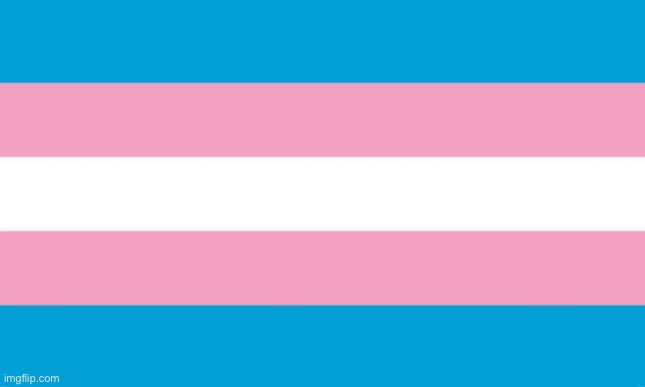 Trans flag | image tagged in transgender flag | made w/ Imgflip meme maker