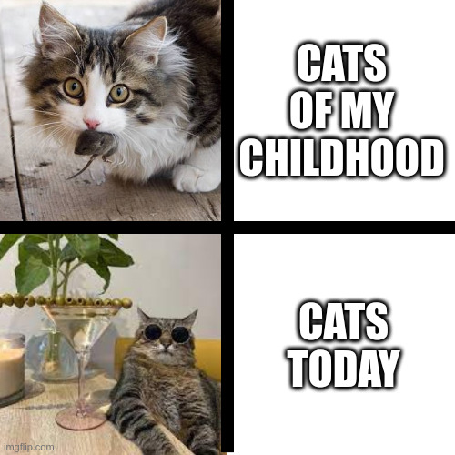 Cats of my childhood vs Сats today | CATS OF MY CHILDHOOD; CATS TODAY | image tagged in stepan cat,cat,childhood,today | made w/ Imgflip meme maker