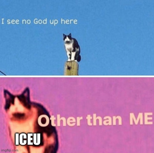 Hail pole cat | ICEU | image tagged in hail pole cat | made w/ Imgflip meme maker