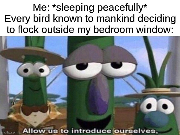 it's annoying though... | Me: *sleeping peacefully*
Every bird known to mankind deciding to flock outside my bedroom window: | image tagged in memes,funny,birds,allow us to introduce ourselves | made w/ Imgflip meme maker