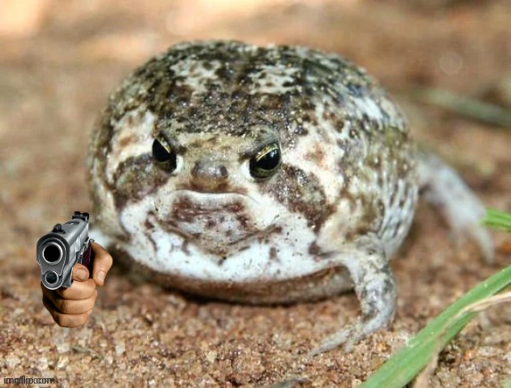 Pov: you see froggo with a gun. Wdyd? | image tagged in froggo,dragonz,guns,roleplaying,no romance | made w/ Imgflip meme maker