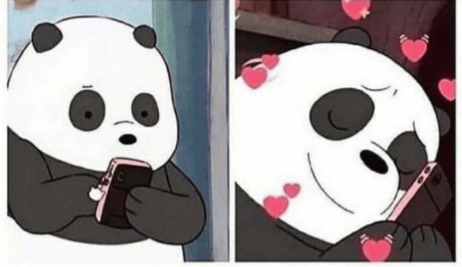 PANDA GETS A TEXT HAPPY 2 PANEL Blank Meme Template