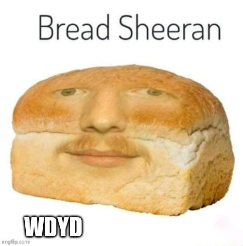 WDYD | image tagged in bread sheeran,rp,no rules | made w/ Imgflip meme maker
