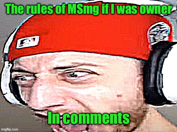 Set to oldest first for better experience. | The rules of MSmg if I was owner; In comments | image tagged in disgusted | made w/ Imgflip meme maker