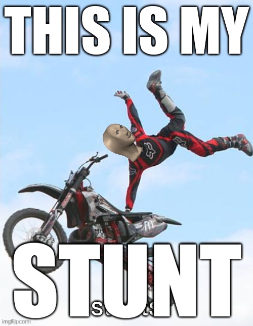 Stonts | THIS IS MY; STUNT | image tagged in stonts | made w/ Imgflip meme maker