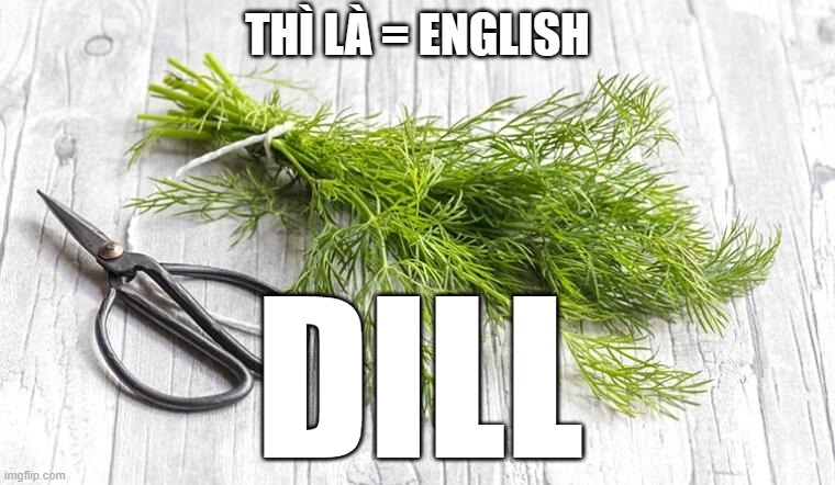 THÌ LÀ = ENGLISH; DILL | made w/ Imgflip meme maker