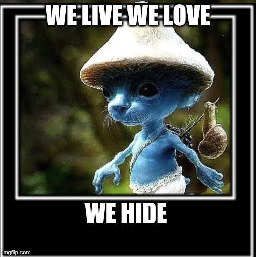 Smurfcat | WE LIVE WE LOVE; WE HIDE | image tagged in smurf | made w/ Imgflip meme maker