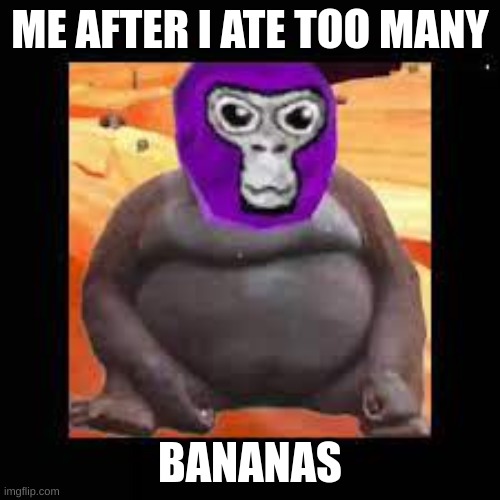 ME AFTER I ATE TOO MANY; BANANAS | image tagged in funny memes | made w/ Imgflip meme maker