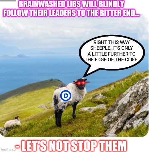And right over the edge they go | BRAINWASHED LIBS WILL BLINDLY FOLLOW THEIR LEADERS TO THE BITTER END... RIGHT THIS WAY SHEEPLE, IT'S ONLY A LITTLE FURTHER TO THE EDGE OF THE CLIFF! - LET'S NOT STOP THEM | image tagged in libtards,finished,vote,president trump | made w/ Imgflip meme maker