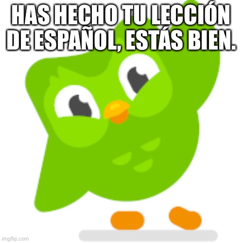 Duolingo memes | HAS HECHO TU LECCIÓN DE ESPAÑOL, ESTÁS BIEN. | image tagged in duolingo memes | made w/ Imgflip meme maker