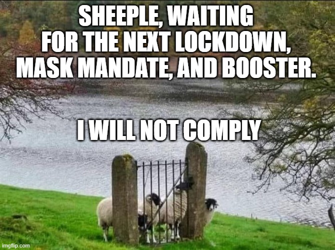 Sheeple | SHEEPLE, WAITING FOR THE NEXT LOCKDOWN, MASK MANDATE, AND BOOSTER. I WILL NOT COMPLY | image tagged in sheeple | made w/ Imgflip meme maker