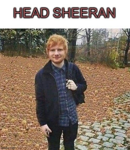 Head Sheeran | HEAD SHEERAN | image tagged in ed sheeran | made w/ Imgflip meme maker