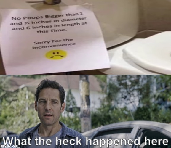 99/100 chance this was labeled in a taco bell bathroom | image tagged in antman what the heck happened here | made w/ Imgflip meme maker