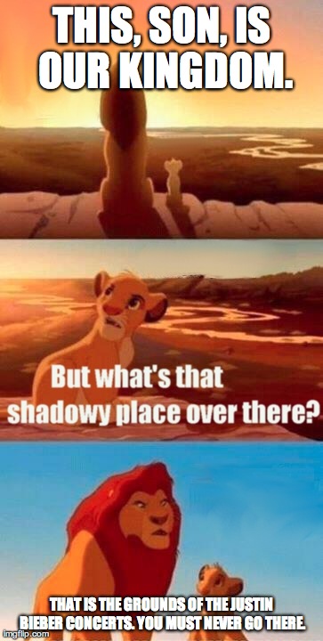 Simba Shadowy Place | THIS, SON, IS OUR KINGDOM. THAT IS THE GROUNDS OF THE JUSTIN BIEBER CONCERTS. YOU MUST NEVER GO THERE. | image tagged in memes,simba shadowy place | made w/ Imgflip meme maker