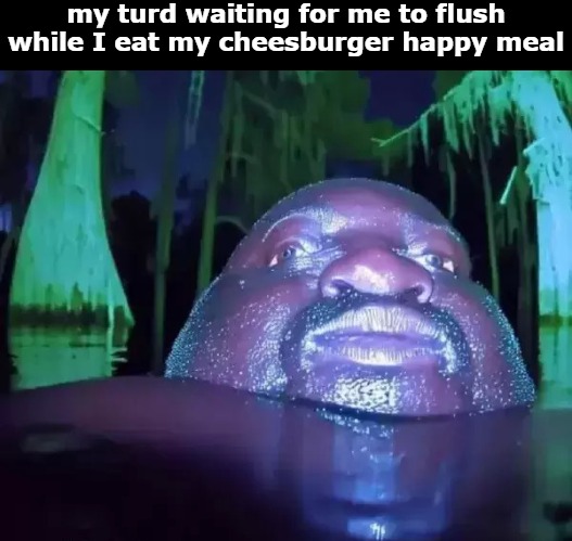 my turd waiting for me to flush while I eat my cheesburger happy meal | image tagged in poo poo platter | made w/ Imgflip meme maker