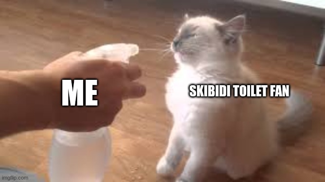 they dont deserve to be on the internet | SKIBIDI TOILET FAN; ME | image tagged in spray bottle | made w/ Imgflip meme maker