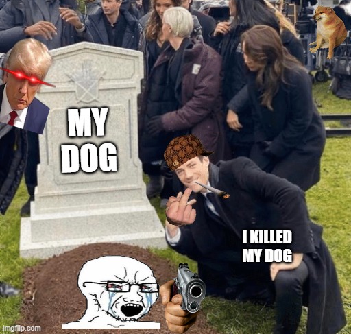 me | MY DOG; I KILLED MY DOG | image tagged in funny memes | made w/ Imgflip meme maker