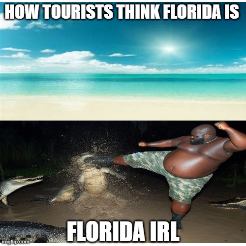 Man drop kicks gator | HOW TOURISTS THINK FLORIDA IS; FLORIDA IRL | image tagged in fat man,alligator,florida man | made w/ Imgflip meme maker