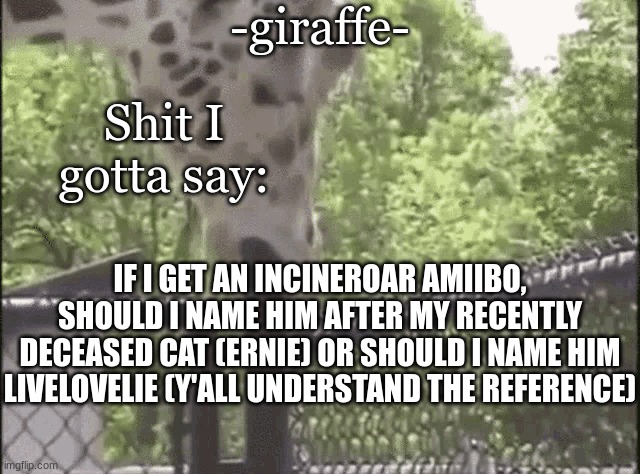 -giraffe- | IF I GET AN INCINEROAR AMIIBO, SHOULD I NAME HIM AFTER MY RECENTLY DECEASED CAT (ERNIE) OR SHOULD I NAME HIM LIVELOVELIE (Y'ALL UNDERSTAND THE REFERENCE) | image tagged in -giraffe- | made w/ Imgflip meme maker