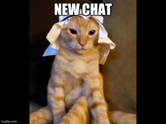 E | NEW CHAT | image tagged in ryn | made w/ Imgflip meme maker