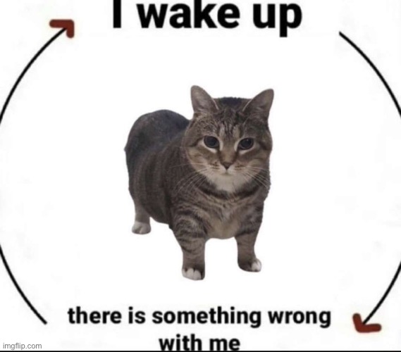 thisisn'tamemethisisadesperatecryforhelp | made w/ Imgflip meme maker