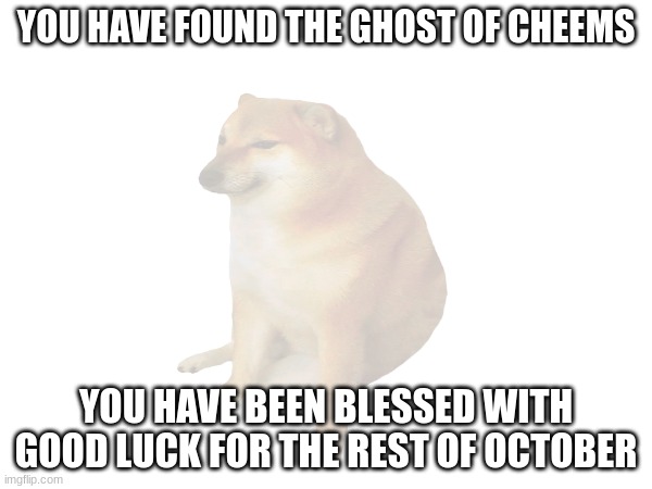 YOU HAVE FOUND THE GHOST OF CHEEMS; YOU HAVE BEEN BLESSED WITH GOOD LUCK FOR THE REST OF OCTOBER | image tagged in ghost of cheems,october | made w/ Imgflip meme maker