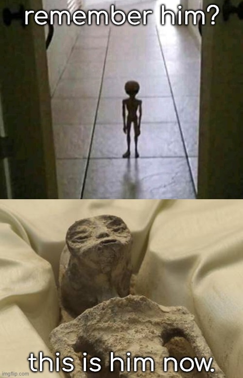 feel old yet? | remember him? this is him now. | image tagged in my alien at 3am,dying alien meme | made w/ Imgflip meme maker