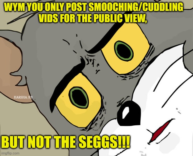 Typical wholesome couples | WYM YOU ONLY POST SMOOCHING/CUDDLING VIDS FOR THE PUBLIC VIEW, HARSHA /FB; BUT NOT THE SEGGS!!! | image tagged in memes,unsettled tom | made w/ Imgflip meme maker