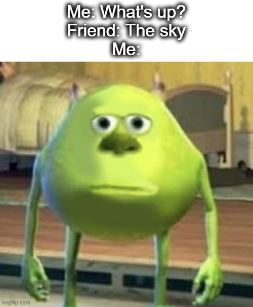 So annoying | Me: What's up?
Friend: The sky
Me: | image tagged in mike wazowski face swap,mike wazowski,sully wazowski,mike,sky,lol | made w/ Imgflip meme maker
