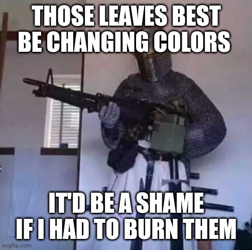 Yesterday it was 87 out and I was NOT having it | THOSE LEAVES BEST BE CHANGING COLORS; IT'D BE A SHAME IF I HAD TO BURN THEM | image tagged in crusader knight with m60 machine gun,fall | made w/ Imgflip meme maker