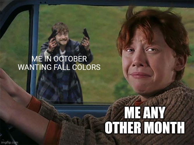 I probably look extremely deranged | ME IN OCTOBER WANTING FALL COLORS; ME ANY OTHER MONTH | image tagged in harry with guns scared ron,fall | made w/ Imgflip meme maker