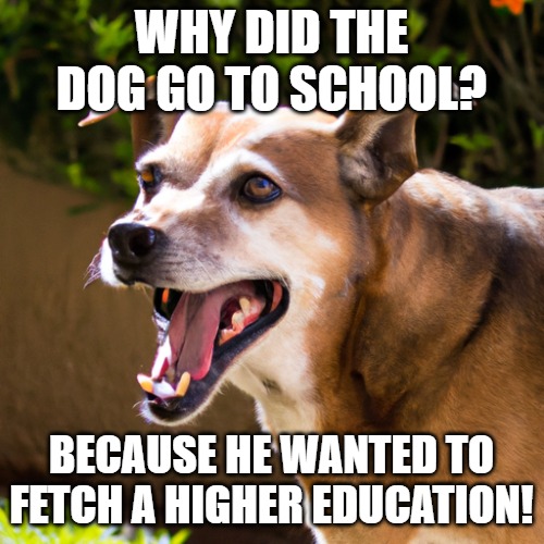 WHY DID THE DOG GO TO SCHOOL? BECAUSE HE WANTED TO FETCH A HIGHER EDUCATION! | made w/ Imgflip meme maker