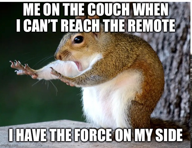 ME ON THE COUCH WHEN I CAN’T REACH THE REMOTE; I HAVE THE FORCE ON MY SIDE | image tagged in funny memes | made w/ Imgflip meme maker