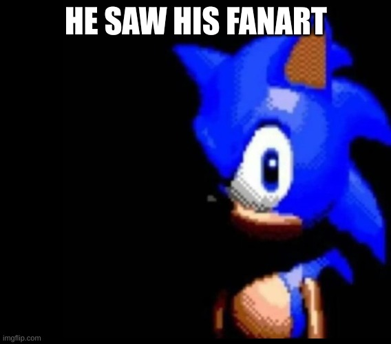 sonic's gonna need therapy | HE SAW HIS FANART | image tagged in sonic stares,memes,fanart | made w/ Imgflip meme maker