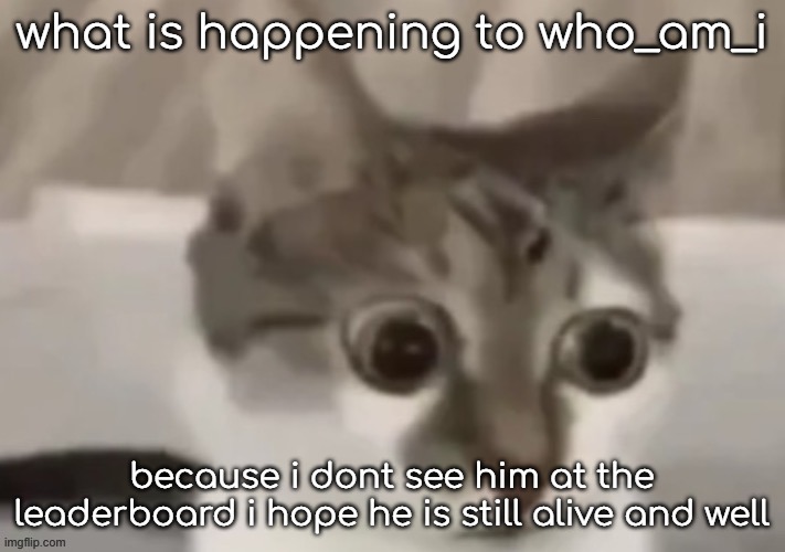 bombastic side eye cat | what is happening to who_am_i; because i dont see him at the leaderboard i hope he is still alive and well | image tagged in bombastic side eye cat | made w/ Imgflip meme maker