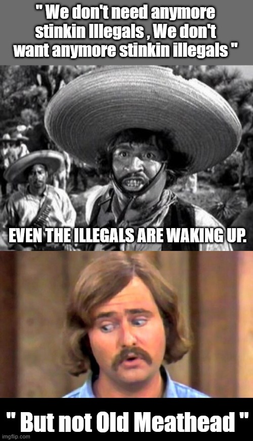" NO MORE ILLEGALS BUILD THE WALL " | " But not Old Meathead " | image tagged in democrats,traitors,psychopaths and serial killers | made w/ Imgflip meme maker