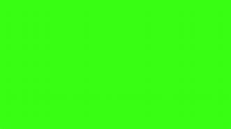 High Quality Neon green Blank Meme Template