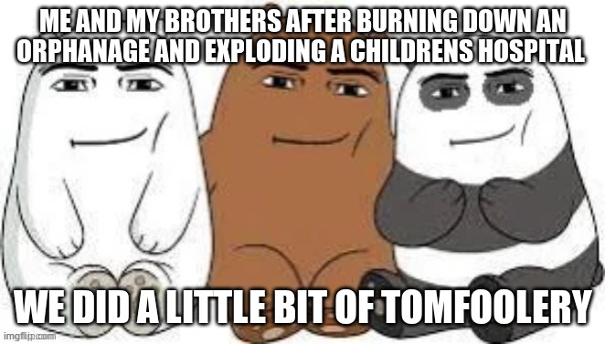 We Bear Man Face | ME AND MY BROTHERS AFTER BURNING DOWN AN ORPHANAGE AND EXPLODING A CHILDRENS HOSPITAL; WE DID A LITTLE BIT OF TOMFOOLERY | image tagged in we bear man face | made w/ Imgflip meme maker