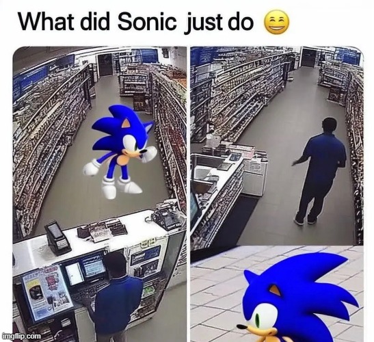 What did he do | image tagged in sonic the hedgehog | made w/ Imgflip meme maker