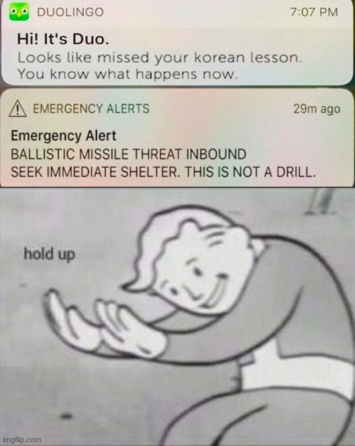 Coincidence? I think not! | image tagged in fallout hold up,memes,funny,duolingo | made w/ Imgflip meme maker