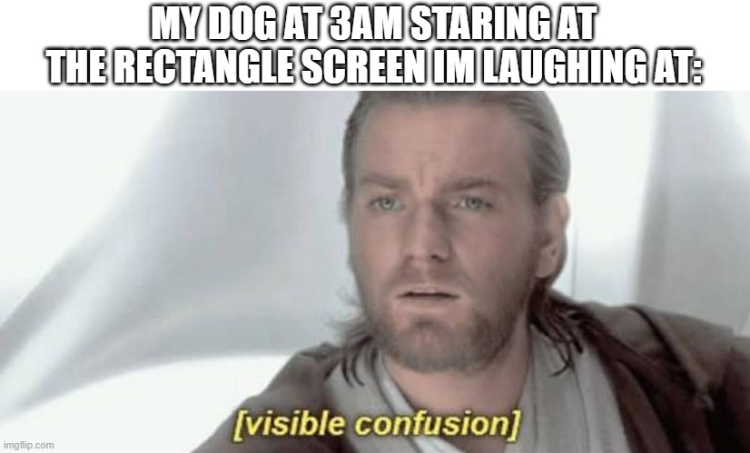 Visible Confusion | MY DOG AT 3AM STARING AT THE RECTANGLE SCREEN IM LAUGHING AT: | image tagged in visible confusion | made w/ Imgflip meme maker