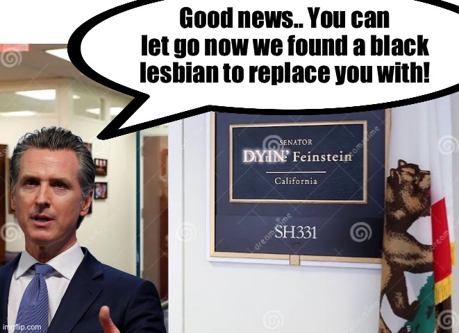 Gavin fulfills his promise | Good news.. You can let go now we found a black lesbian to replace you with! | image tagged in gavin,dianne feinstein | made w/ Imgflip meme maker