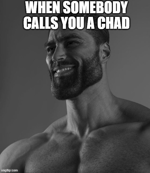 Giga Chad | WHEN SOMEBODY CALLS YOU A CHAD | image tagged in giga chad,chad,funny,funny memes,memes | made w/ Imgflip meme maker