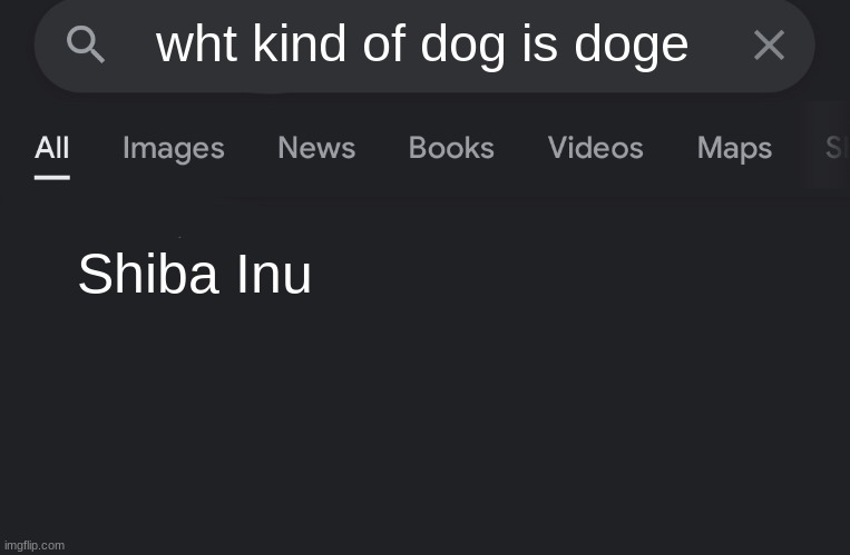 you guys need to know this | wht kind of dog is doge; Shiba Inu | image tagged in fake search,google | made w/ Imgflip meme maker